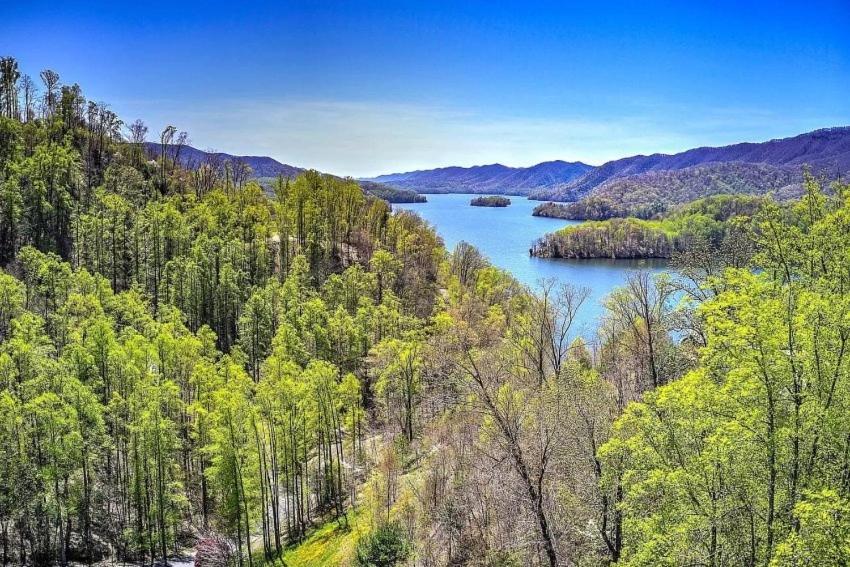 Iron Mountain Lodge - Beautiful Cabin With Forest & Mountain Views! Butler Εξωτερικό φωτογραφία