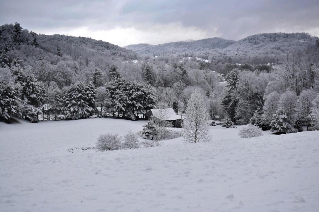 Iron Mountain Lodge - Beautiful Cabin With Forest & Mountain Views! Butler Εξωτερικό φωτογραφία